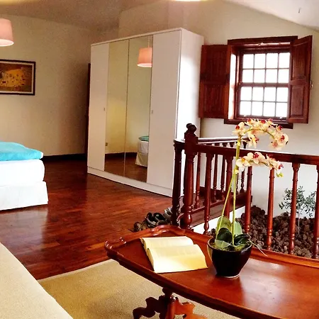 Geranios Las Mercedes