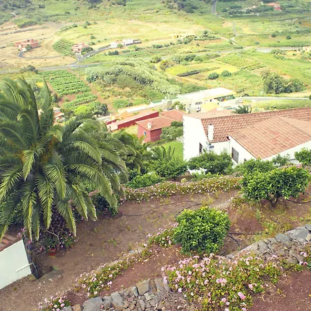 Geranios Las Mercedes
