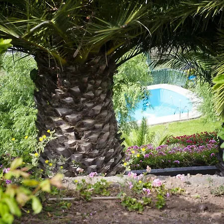 Geranios Bed & Breakfast 3*