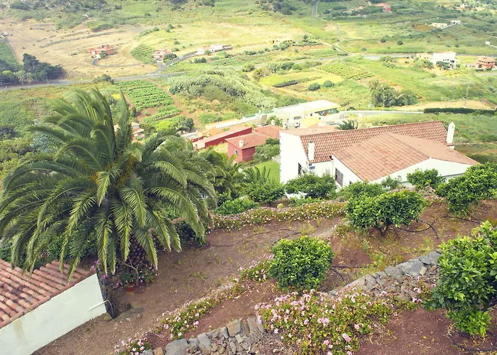 Geranios Las Mercedes