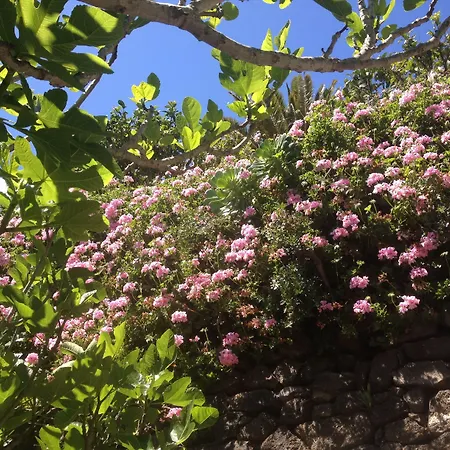 Bed and breakfast Geranios 3*