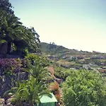 Geranios Las Mercedes