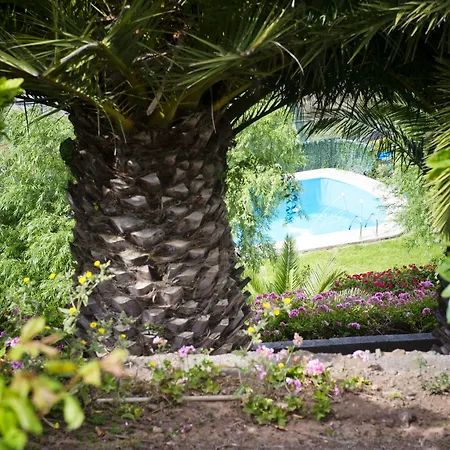 Geranios Bed & Breakfast